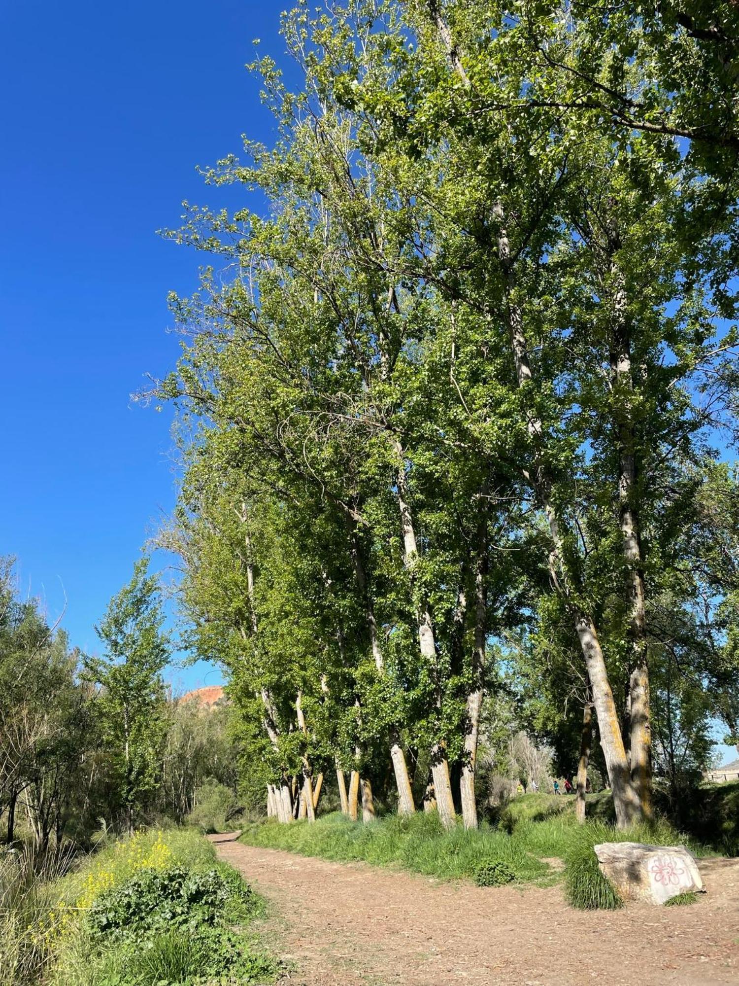 Apartamento Ruta Del Veleta Cenes De La Vega Esterno foto